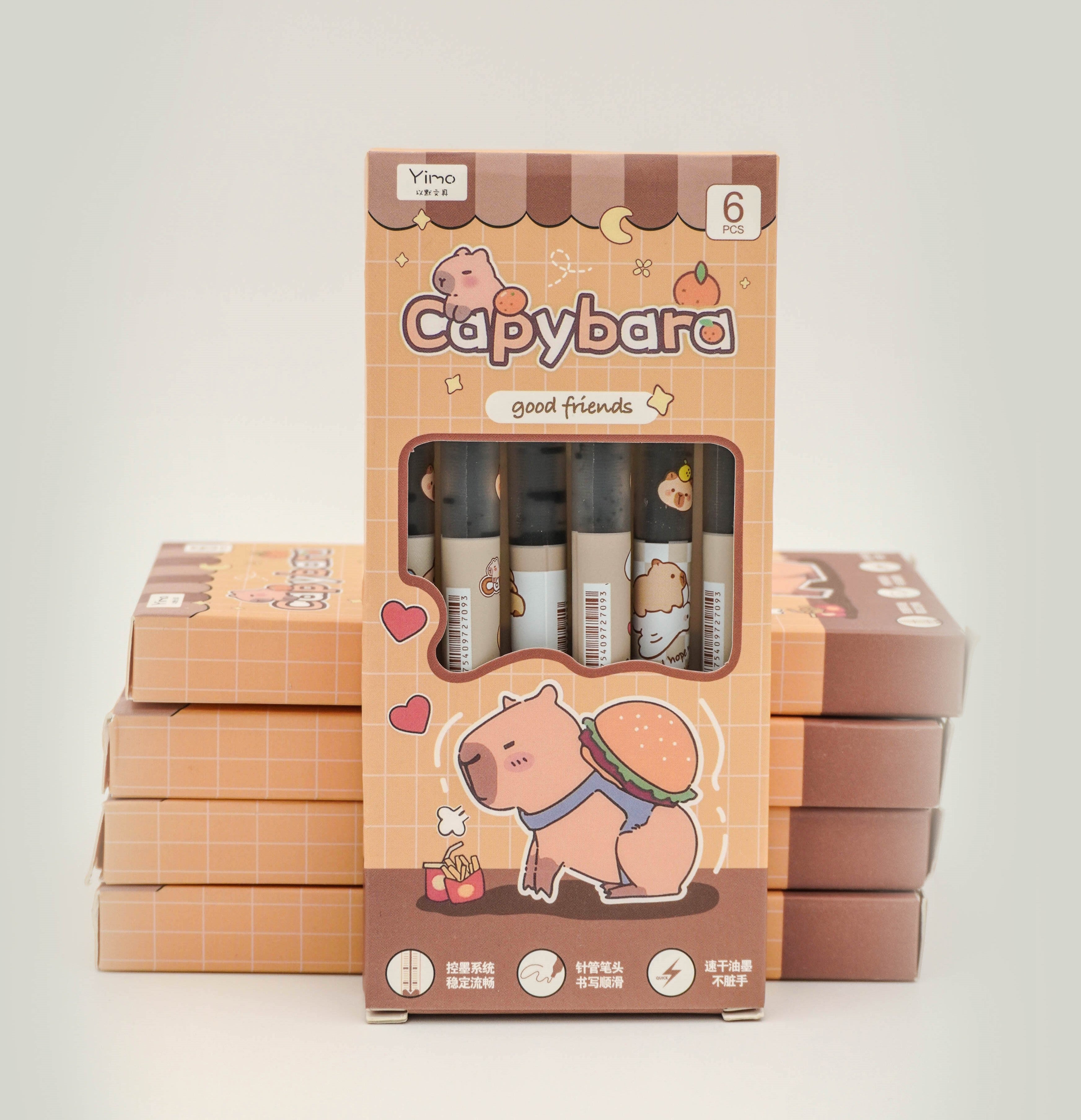 6 Stylos pointe fine Capybara